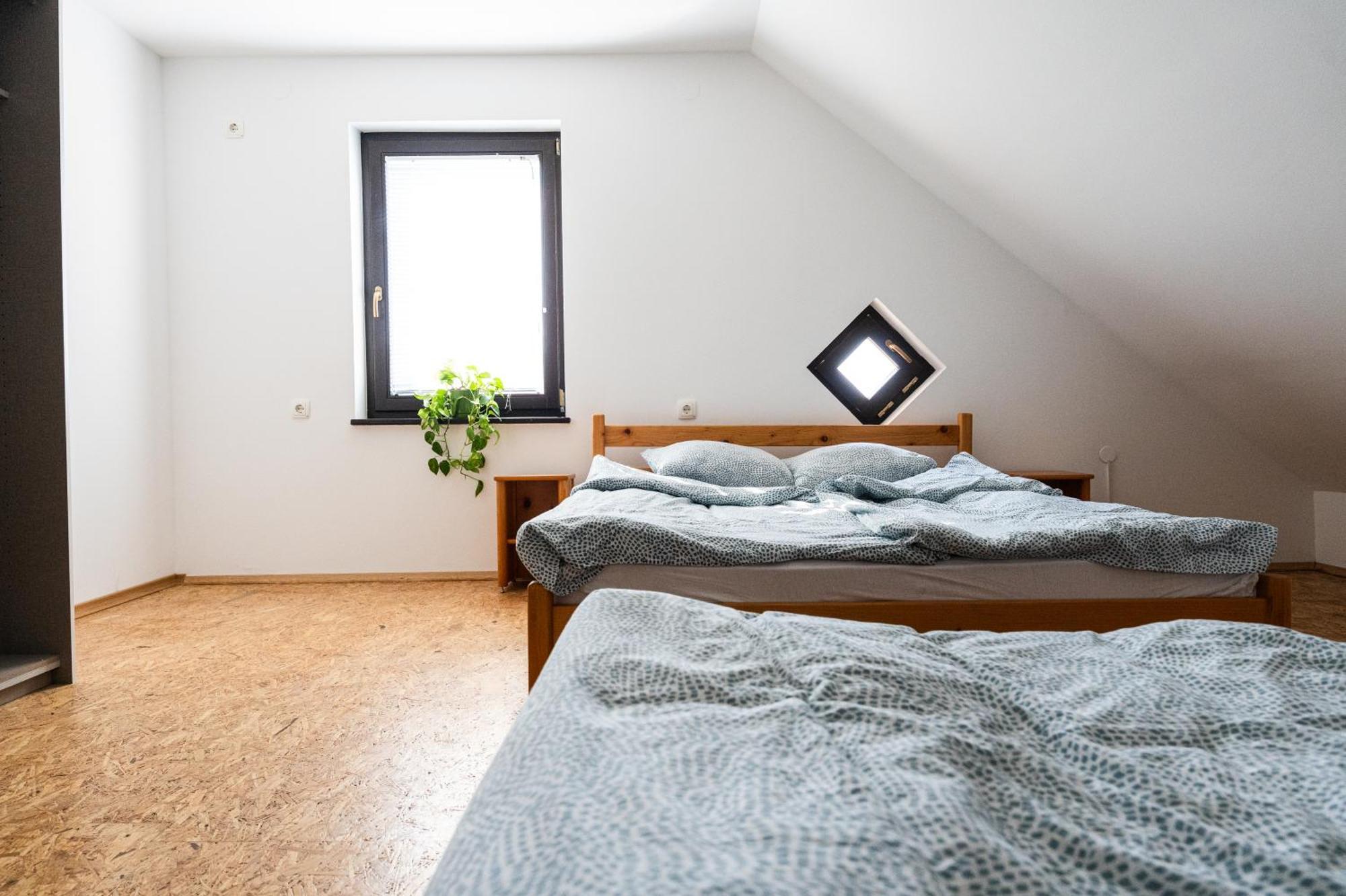 Adventure Farm Bed and Breakfast Store Buitenkant foto