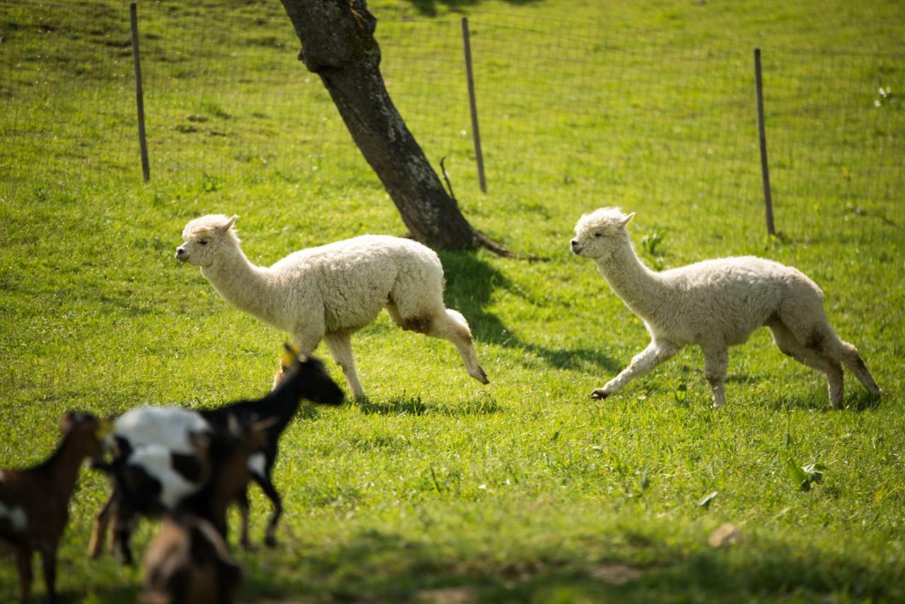 Adventure Farm Bed and Breakfast Store Buitenkant foto